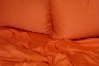 Apricot Glow