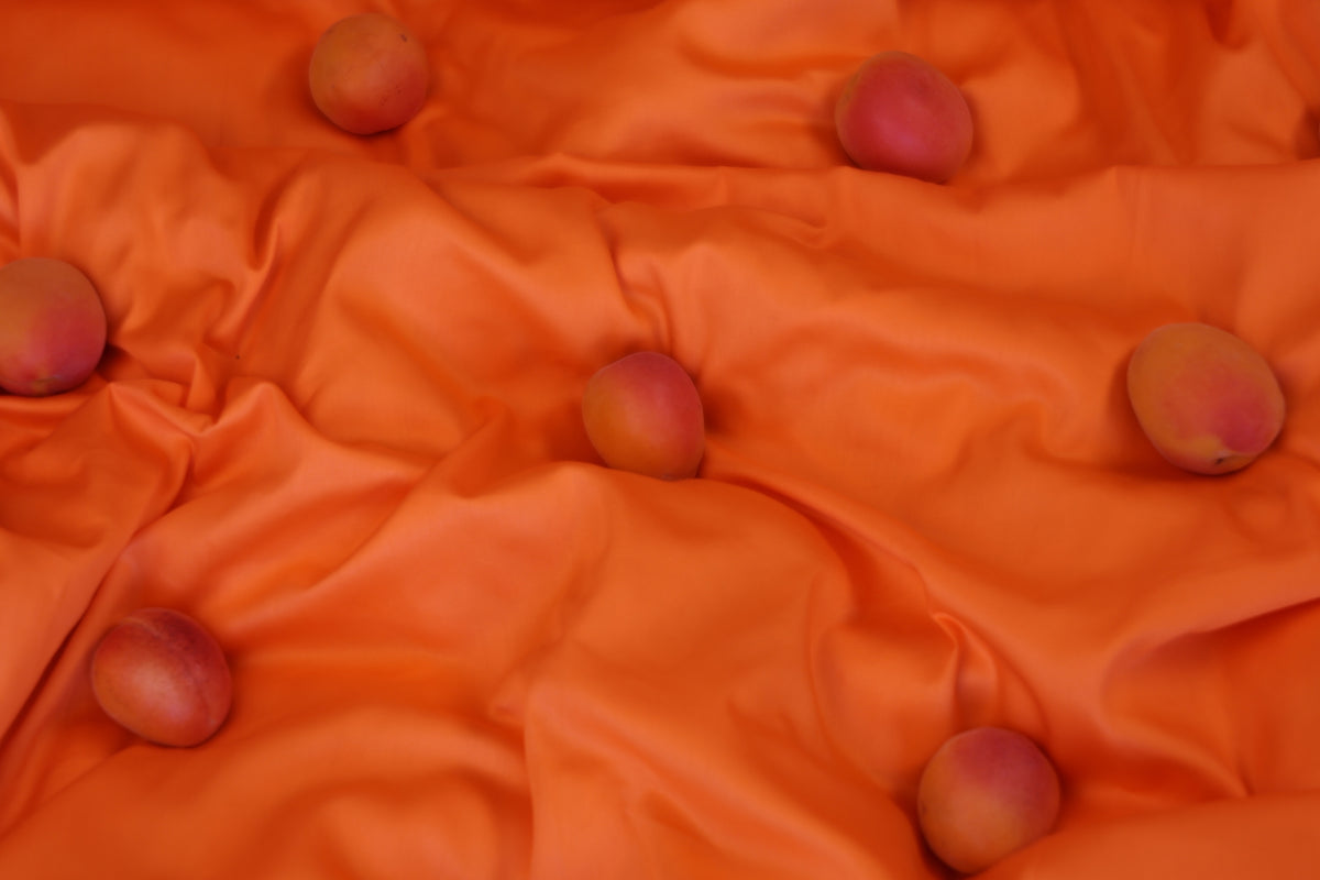 Apricot Glow