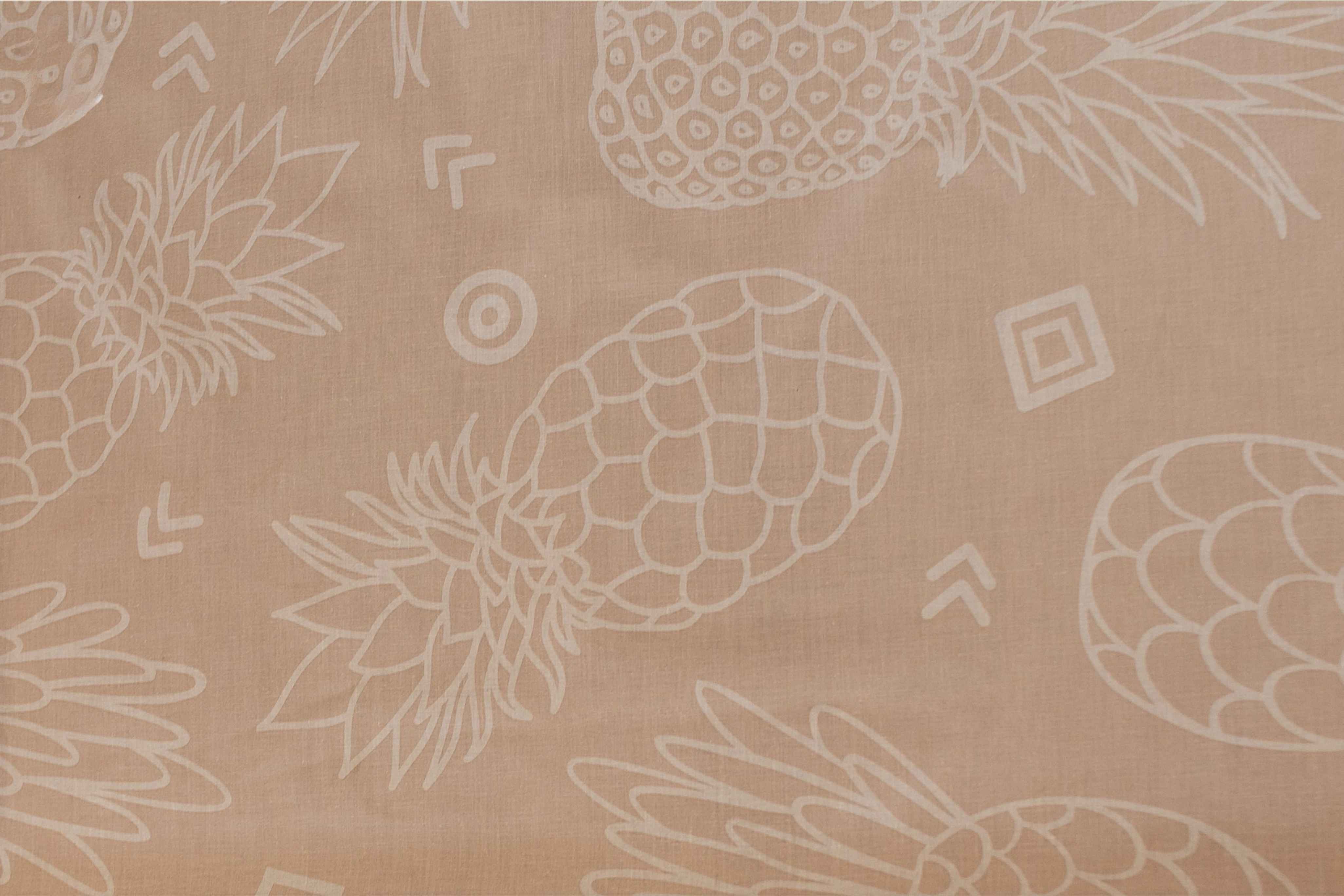 Ananas in Leaves