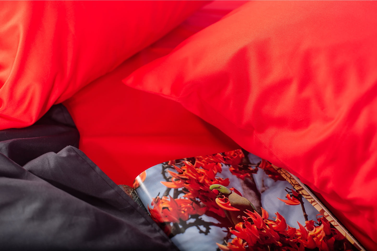 Close-up of red and black sateen bed linen by Once@Home showing gentle folds and refined finish