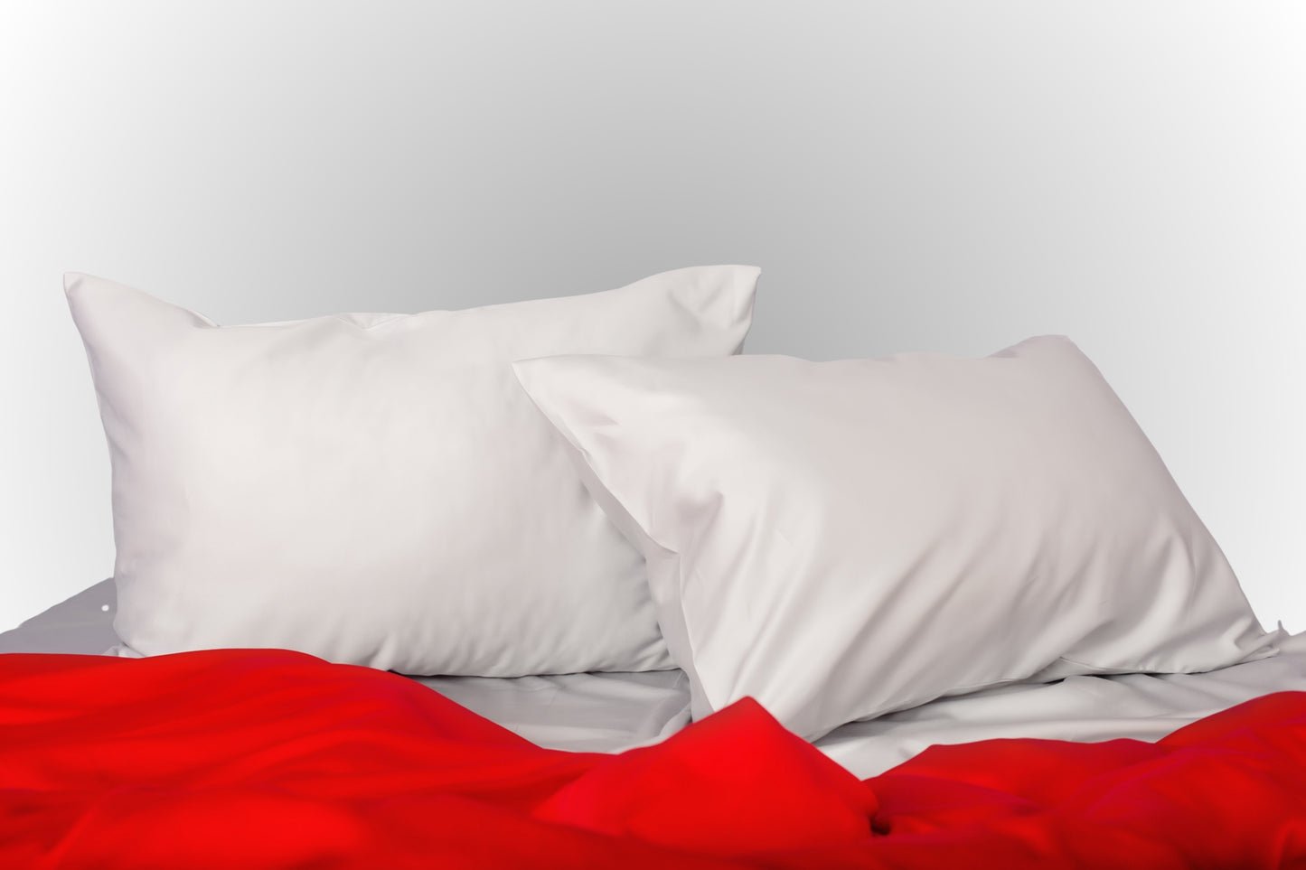 Scarlet Flame in Mist