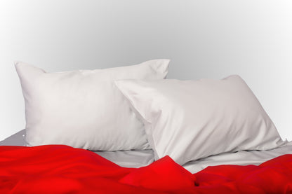 Scarlet Flame in Mist