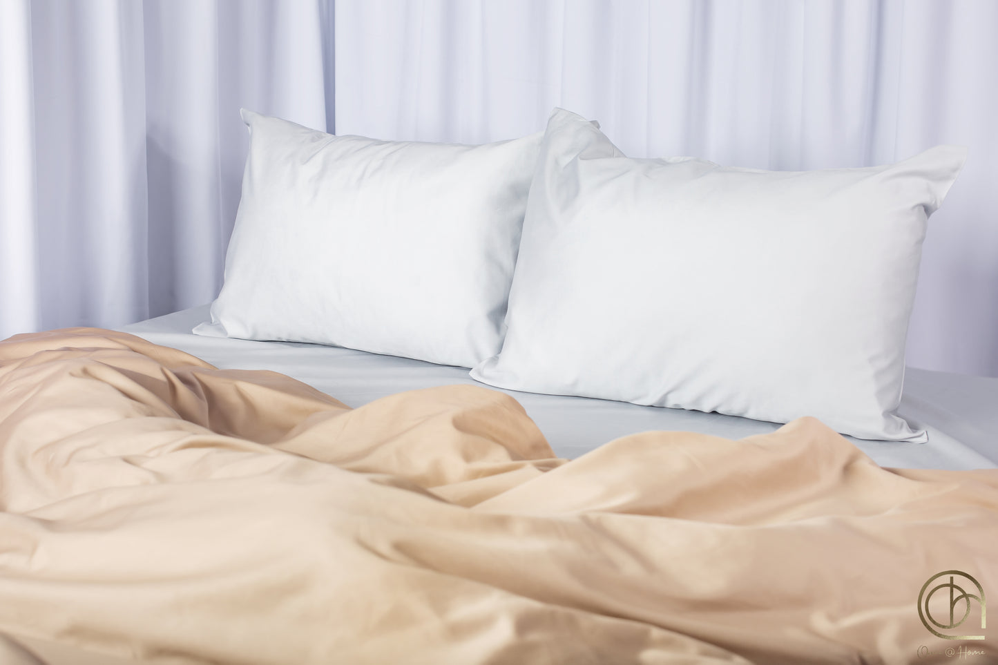 Dunes in Silver Light