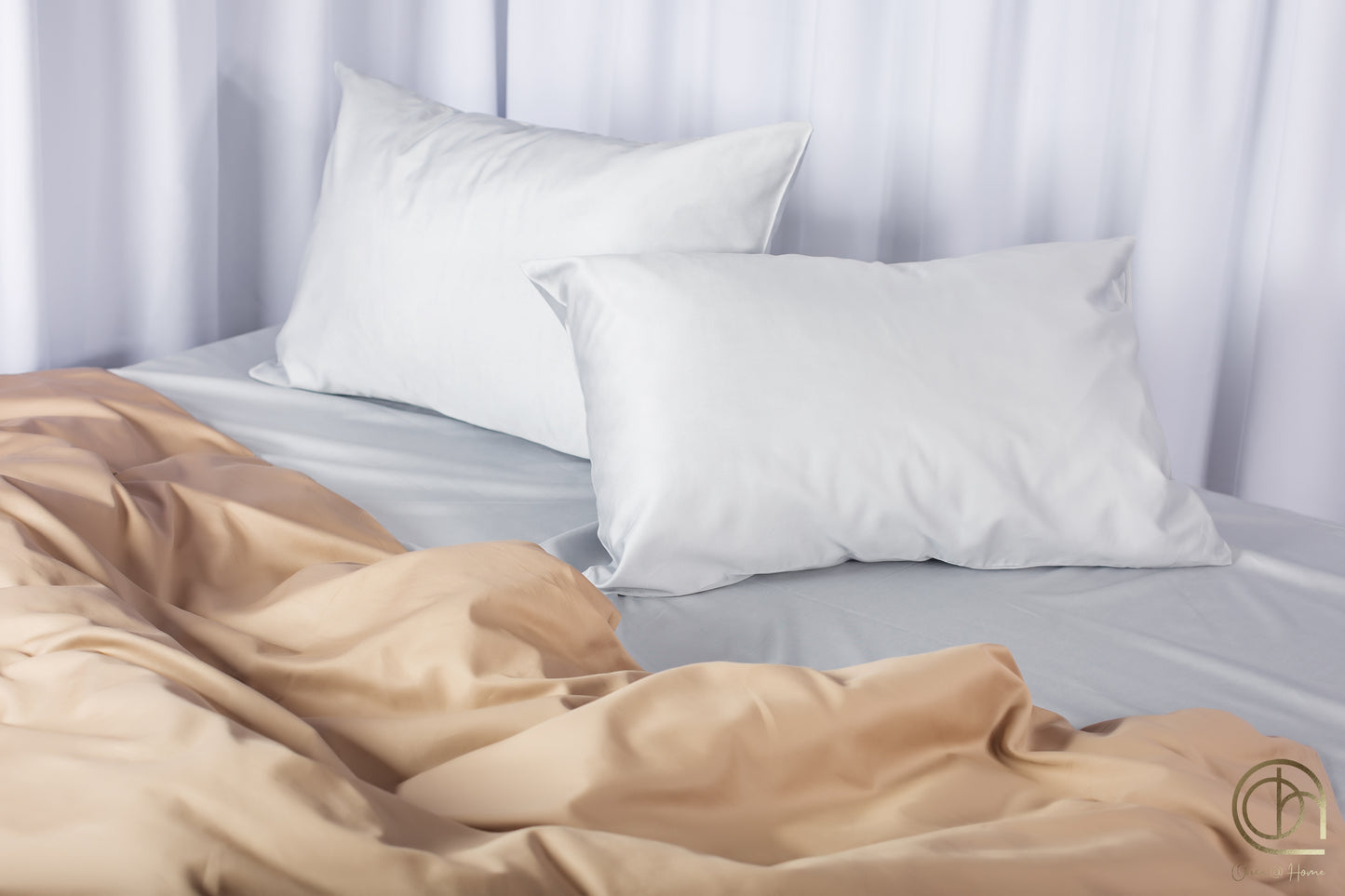 Dunes in Silver Light