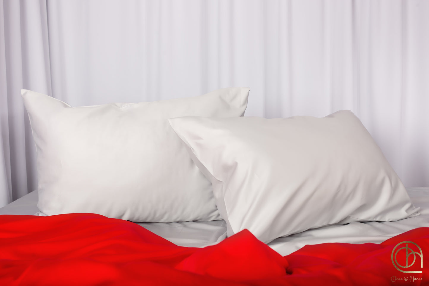 Scarlet Flame in Mist